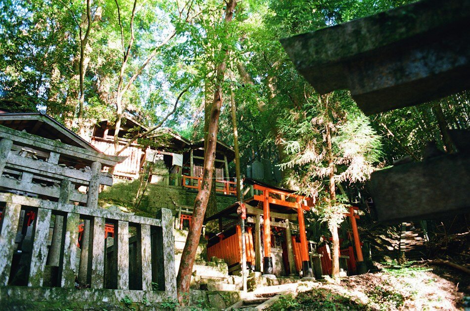 Le guide ultime de la randonnée sur le chemin de pèlerinage du Kumano Kodo au Japon
