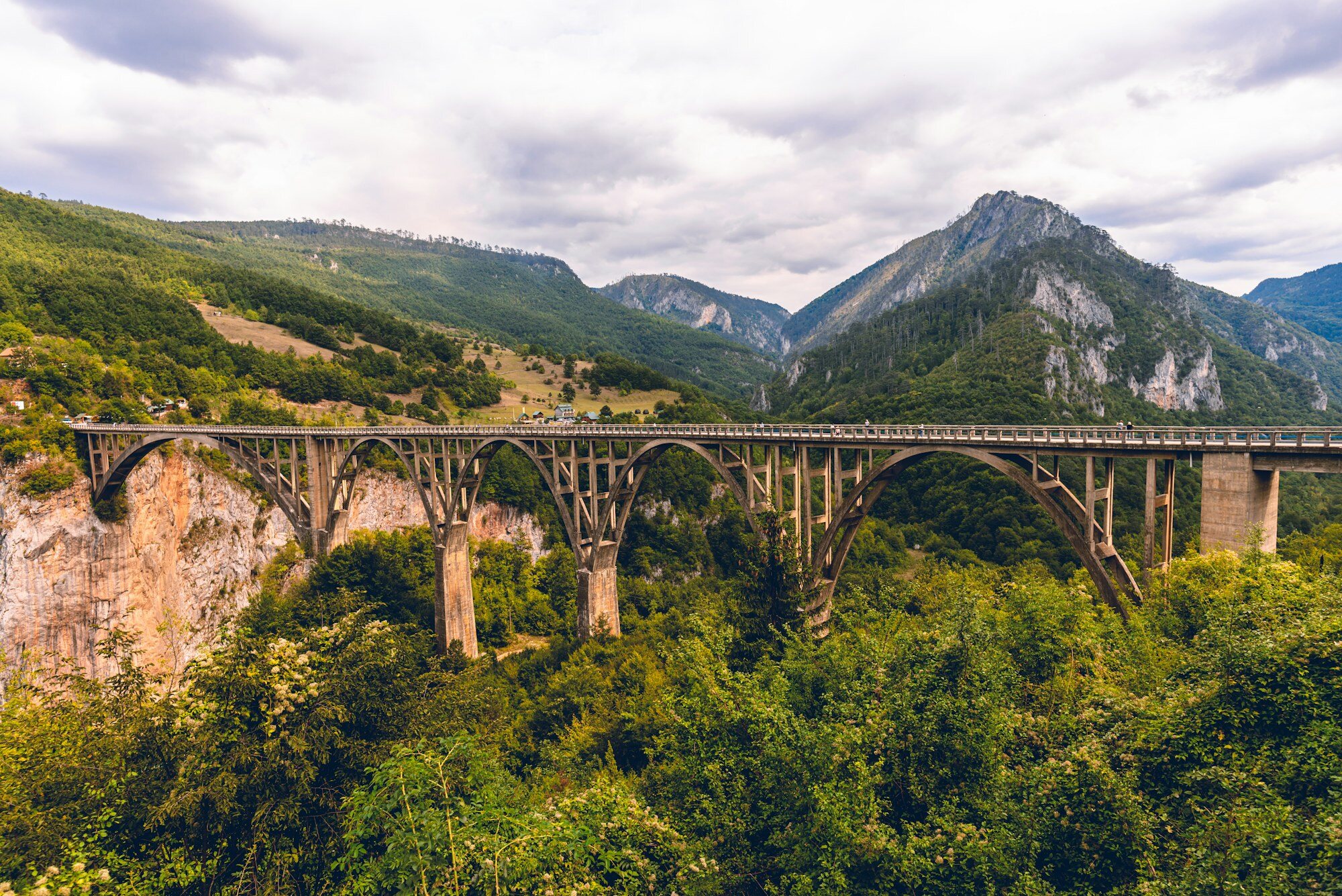 橫跨黑山森林密布的塔拉峽谷的杜爾傑維察-塔拉大橋