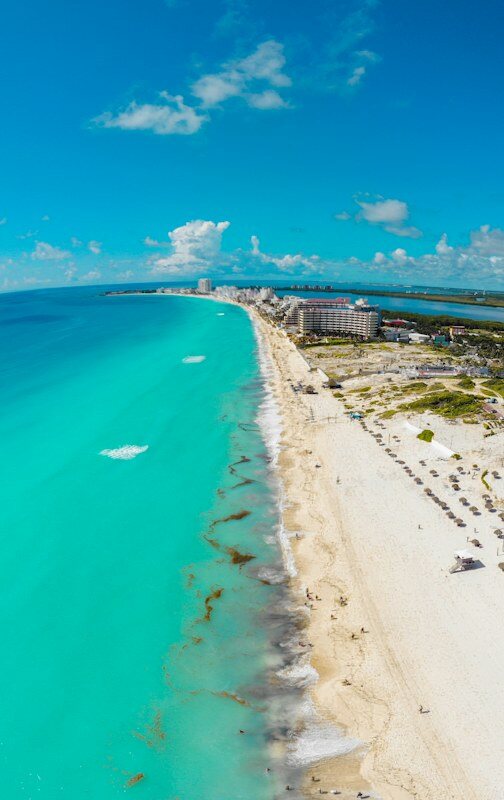 Tartarughe marine nelle acque della baia di Akumal