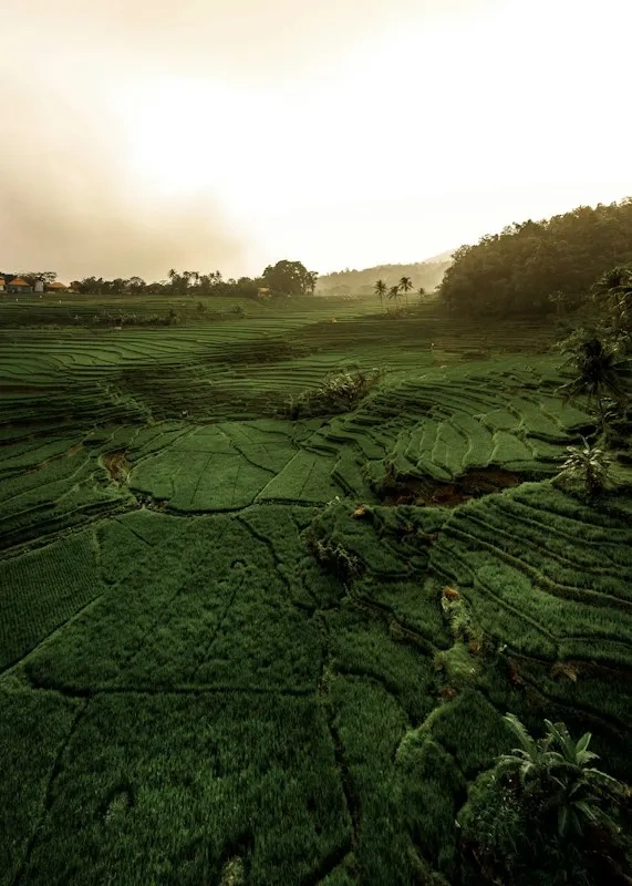 Guide de la saison intermédiaire à Bali : itinéraire et conseils pour mai-juin