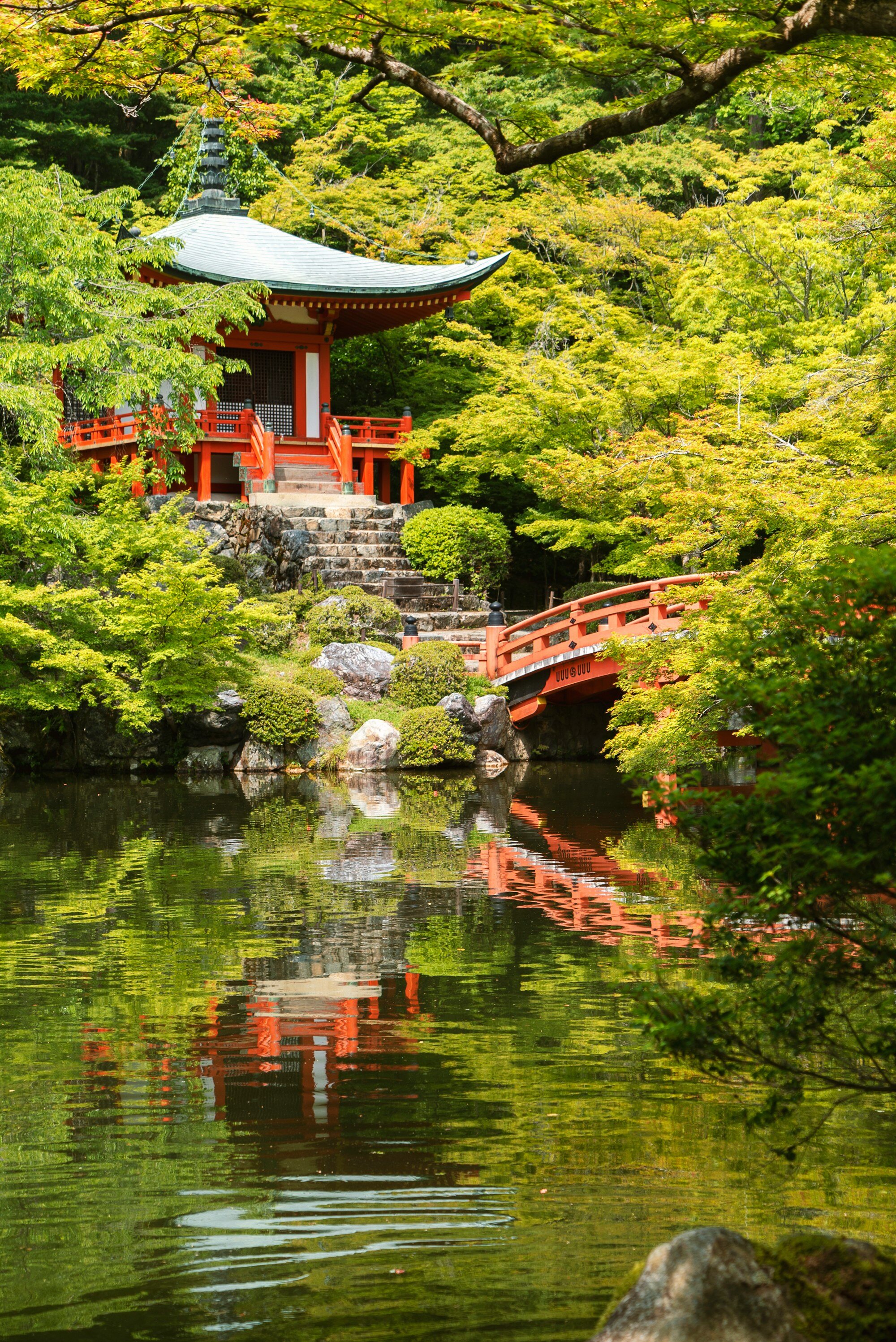 京都寺院庭園周邊的秋色，展示以寺院為重點的京都行程最佳時節