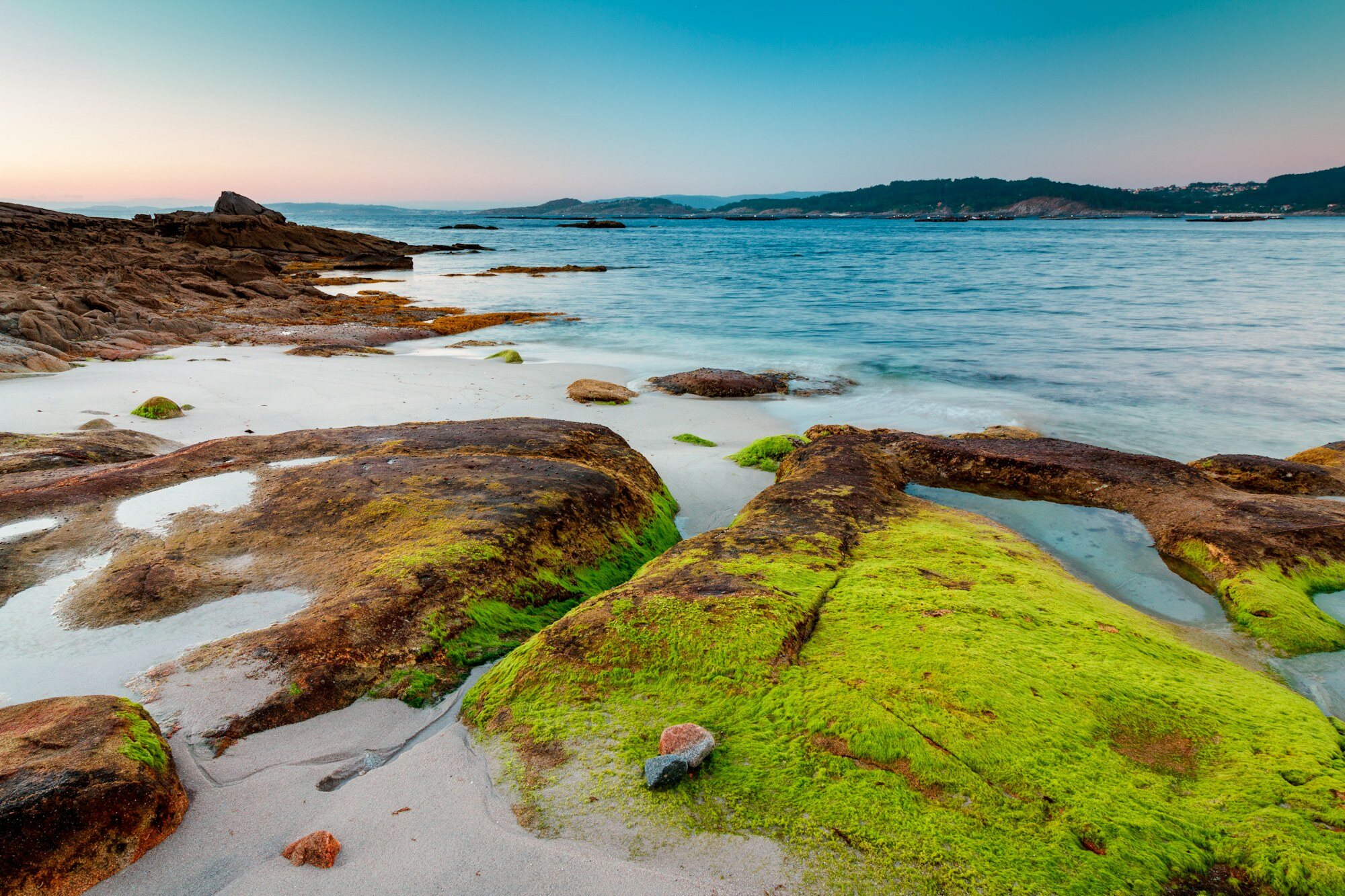 Moss-covered rocks beside the Atlantic waters of Galicia