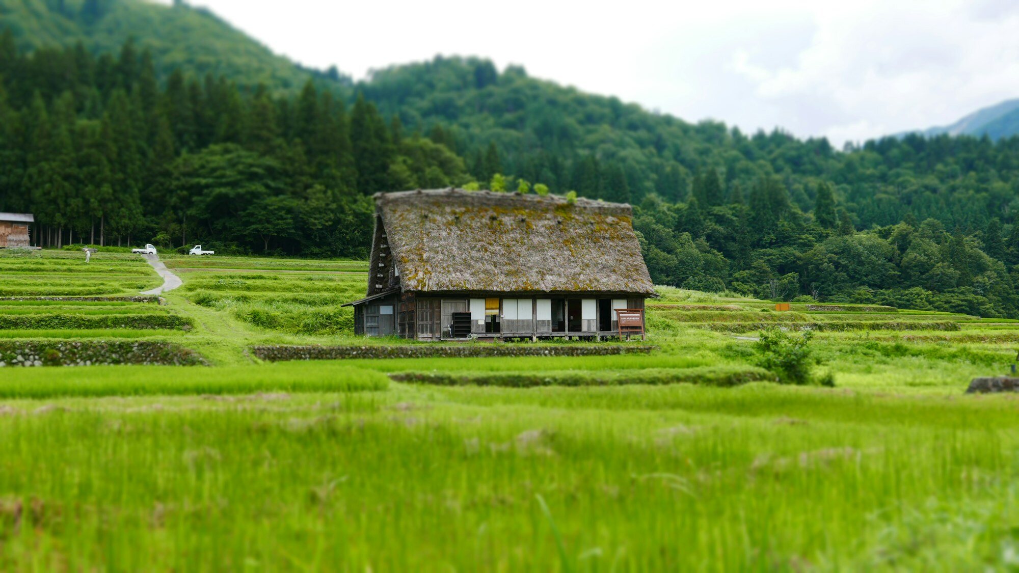 日本鄉村深度之旅:14 天漫遊鄉間、山野與隱秘村落