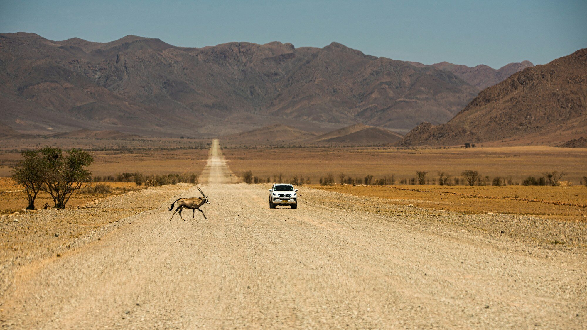 Namibia Desert and Wildlife Road-trip: A 10-Day Windhoek Loop
