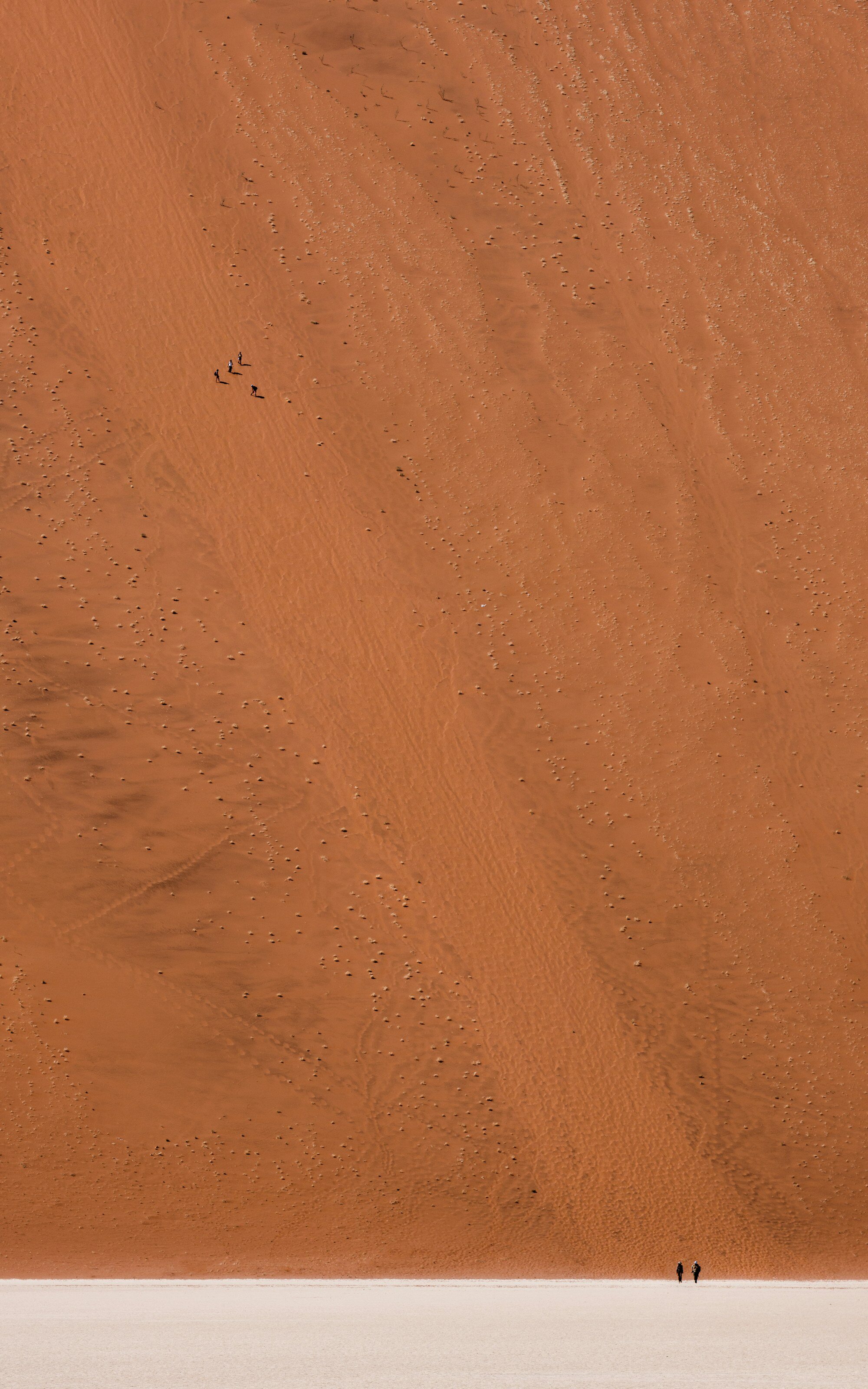 遊客攀登死谷(Deadvlei)的「大老爹沙丘」(Big Daddy Dune),背景是壯觀的紅色沙丘地貌