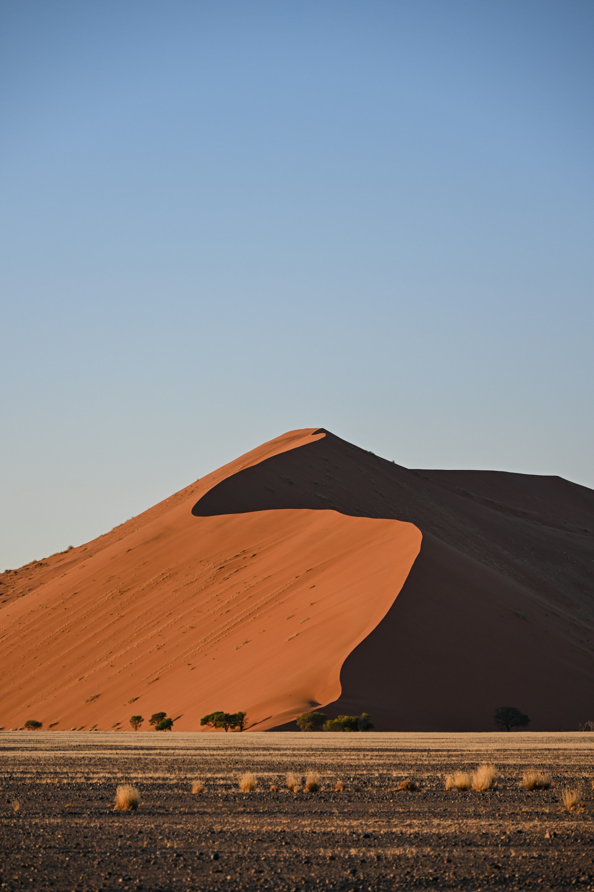 納米比亞索蘇斯維利(Sossusvlei)晴空下的金色沙丘