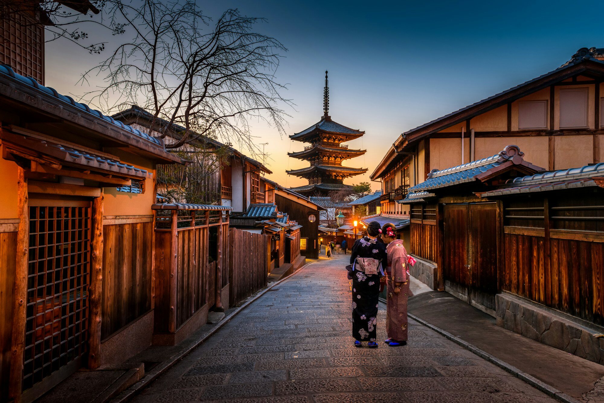 Hachijoaburanokoji