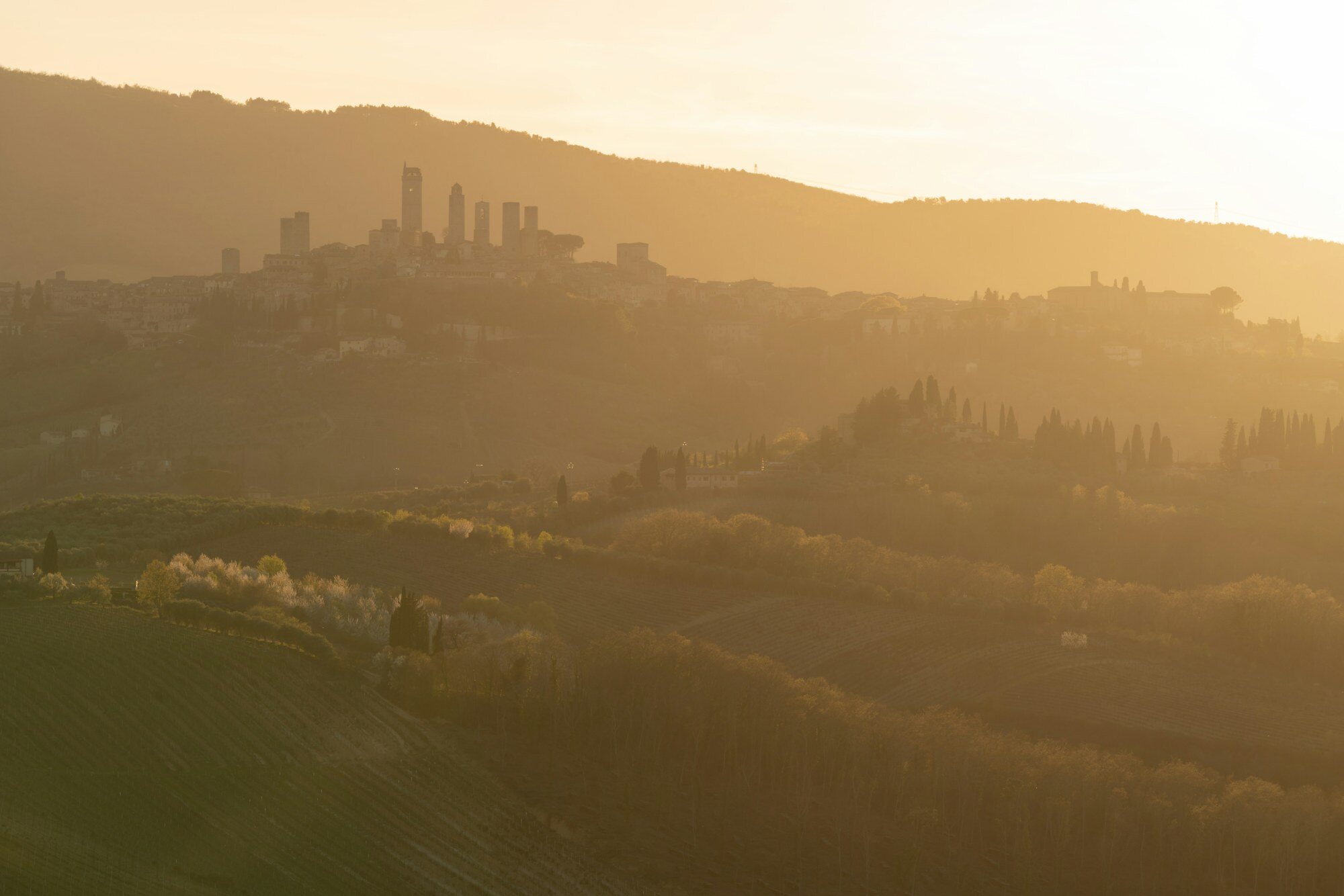 Die mittelalterlichen Türme von San Gimignano über der toskanischen Landschaft