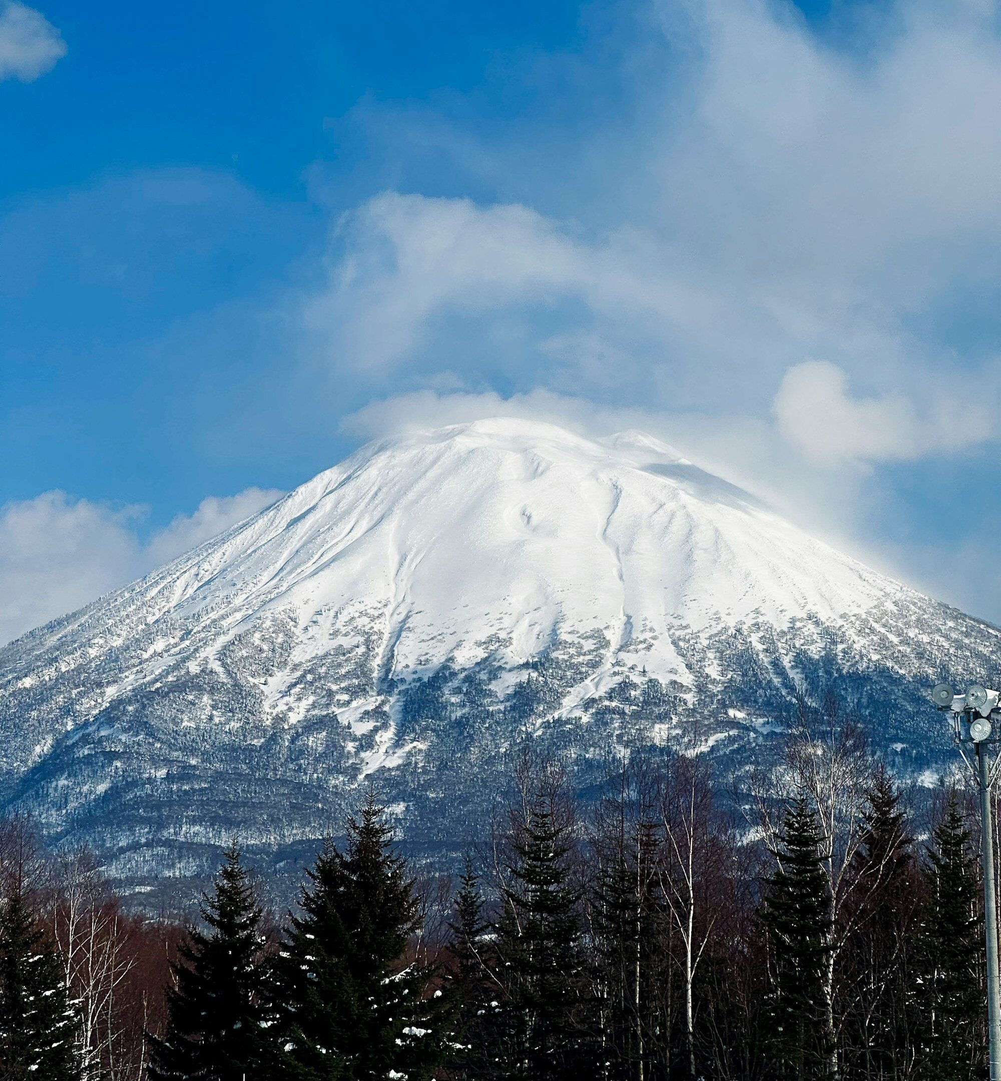Snow-covered Mount Yotei volcano with forest trees in foreground Niseko area