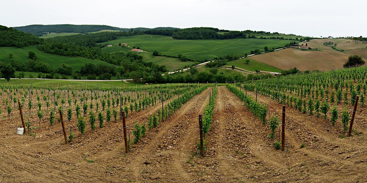 Maridaje de vino y comida toscana