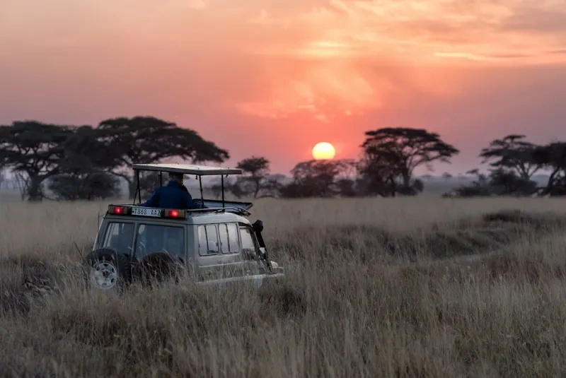 Serengeti
