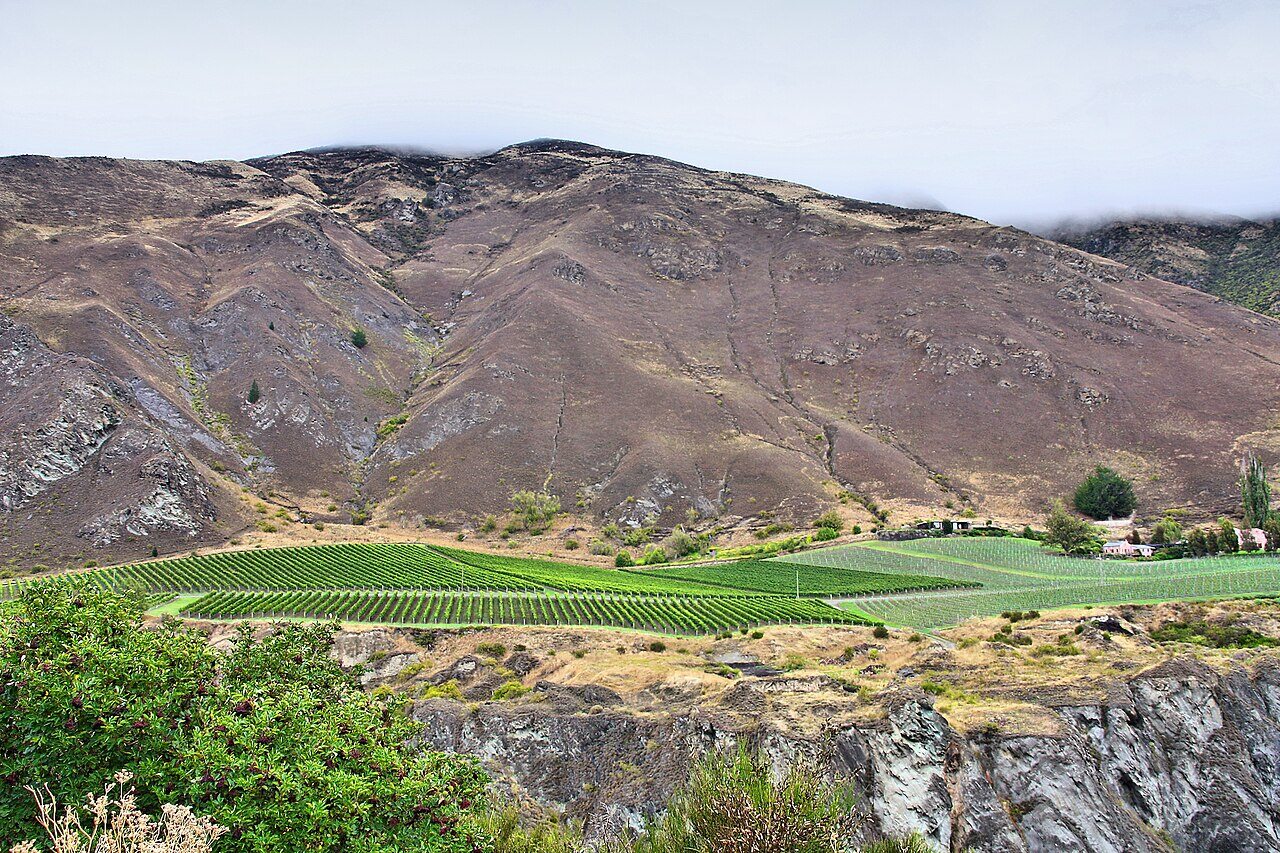Azienda vinicola della Central Otago con vista sulle montagne