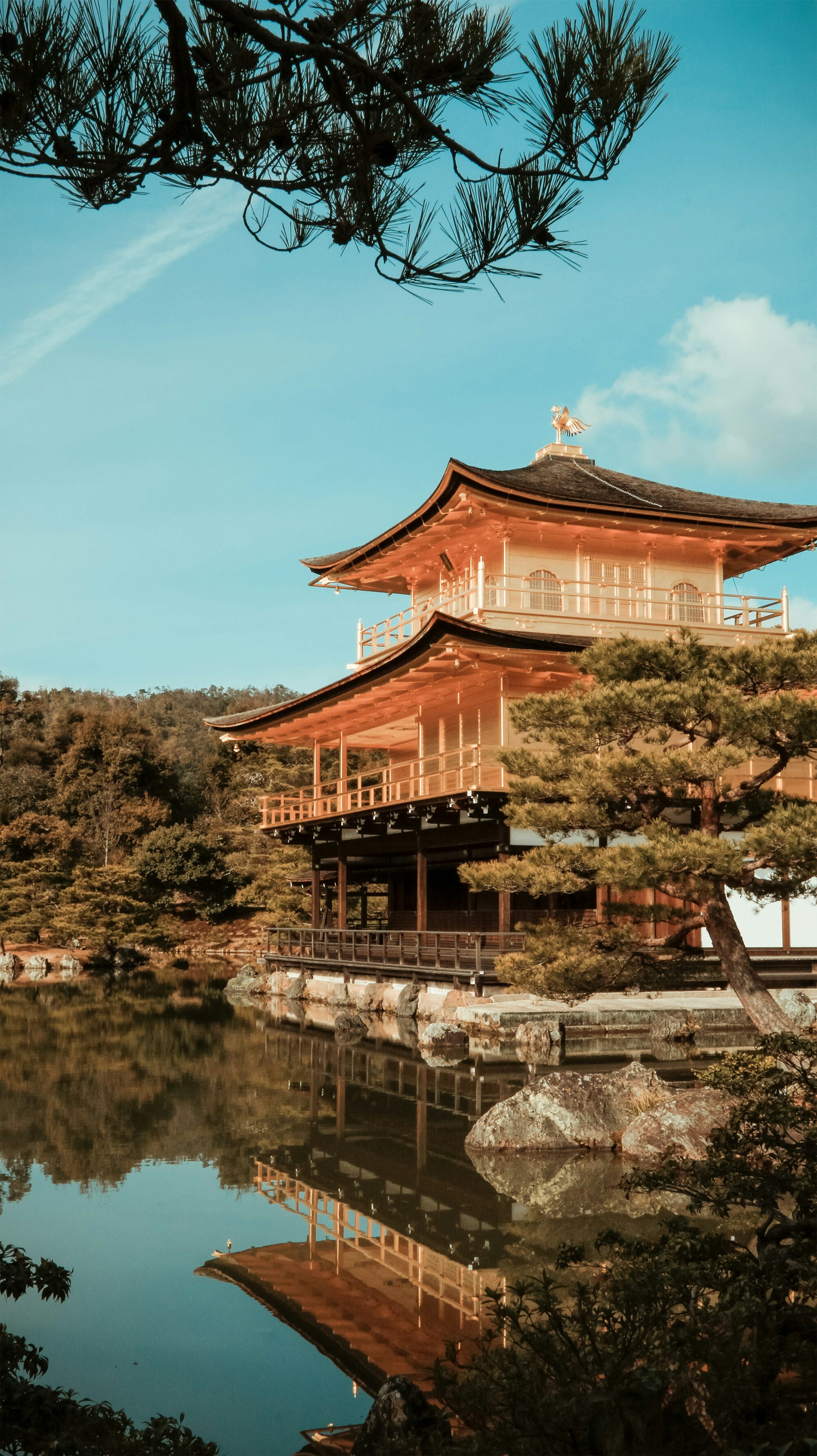 金閣寺的金閣矗立於池畔，與第三天京都北區的行程相呼應