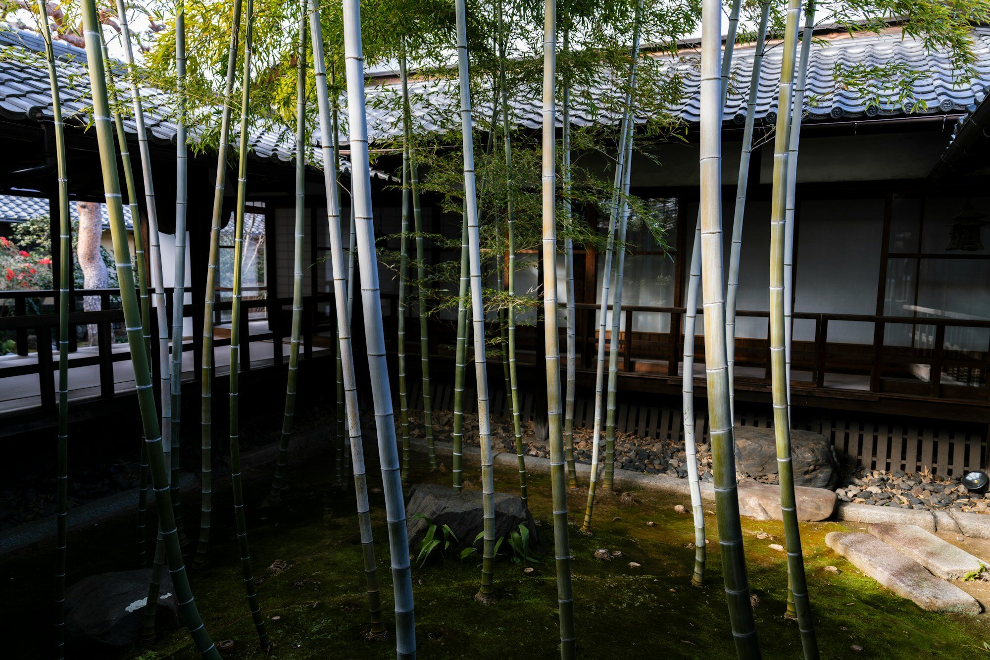Traditionelle Tempelarchitektur in Kyoto
