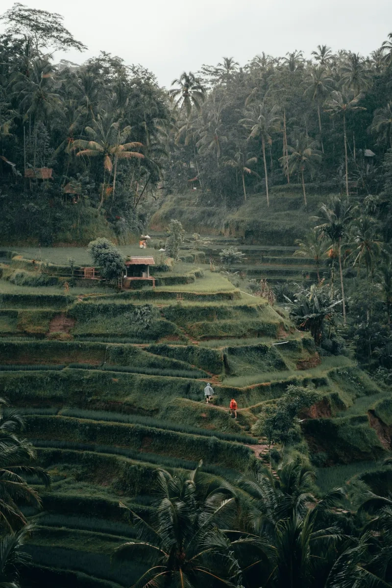 Guide complet du voyage à petit budget à Bali 2026 : temples, rizières et plages