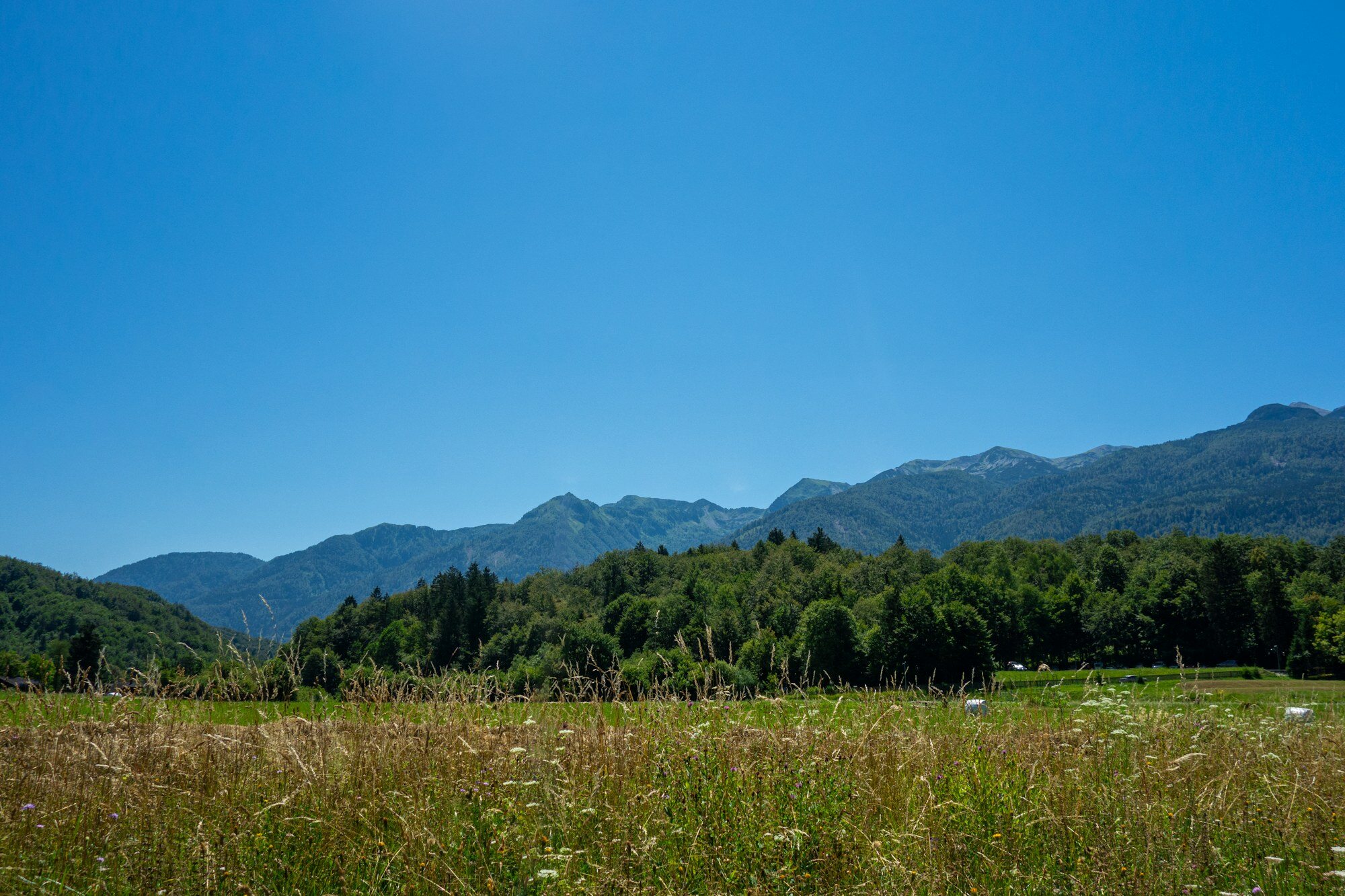 Prairie du lac de Bohinj et montagnes du parc national du Triglav