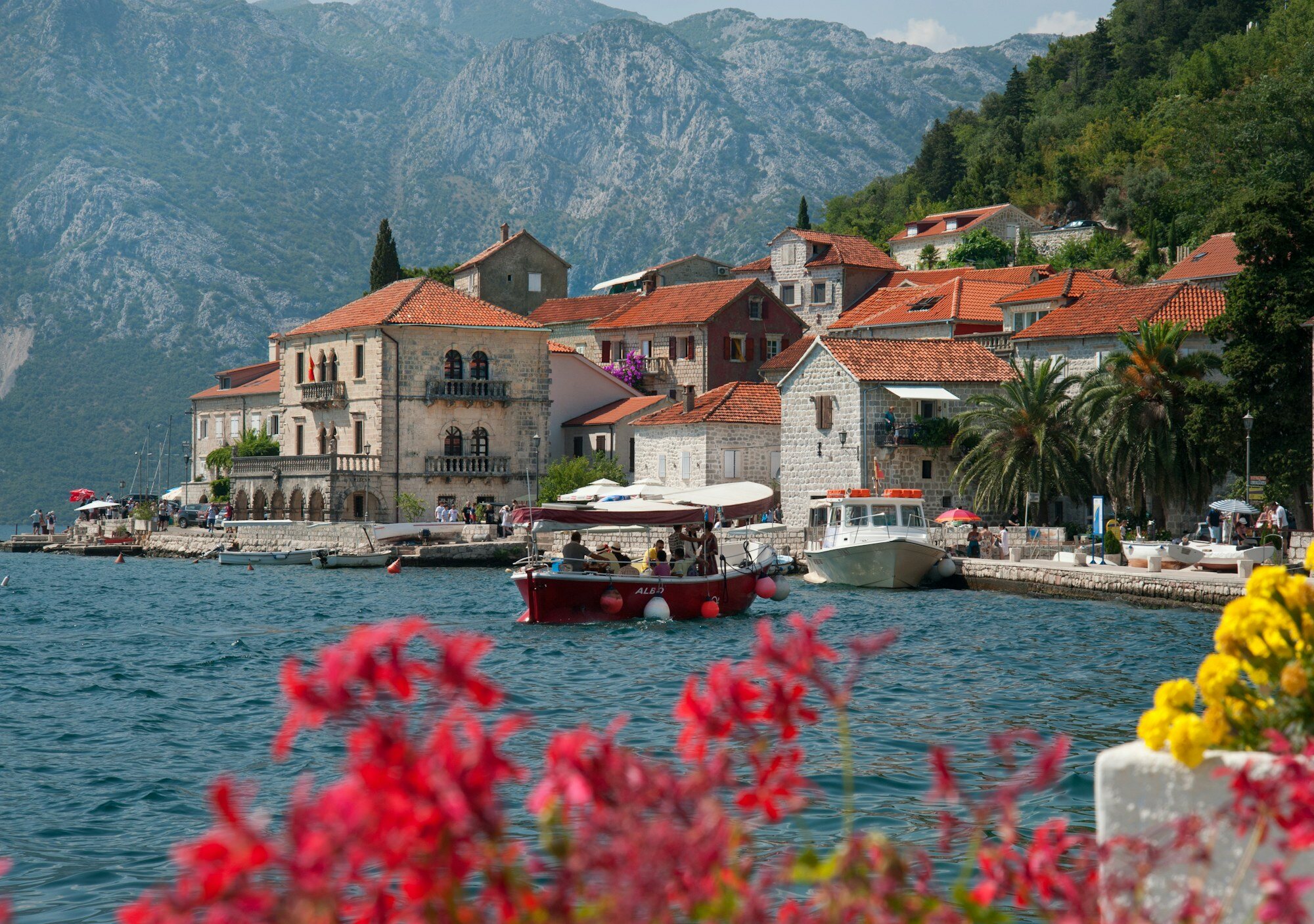 Montenegro Coast-to-Mountains Road-trip: A 7-Day Kotor Loop