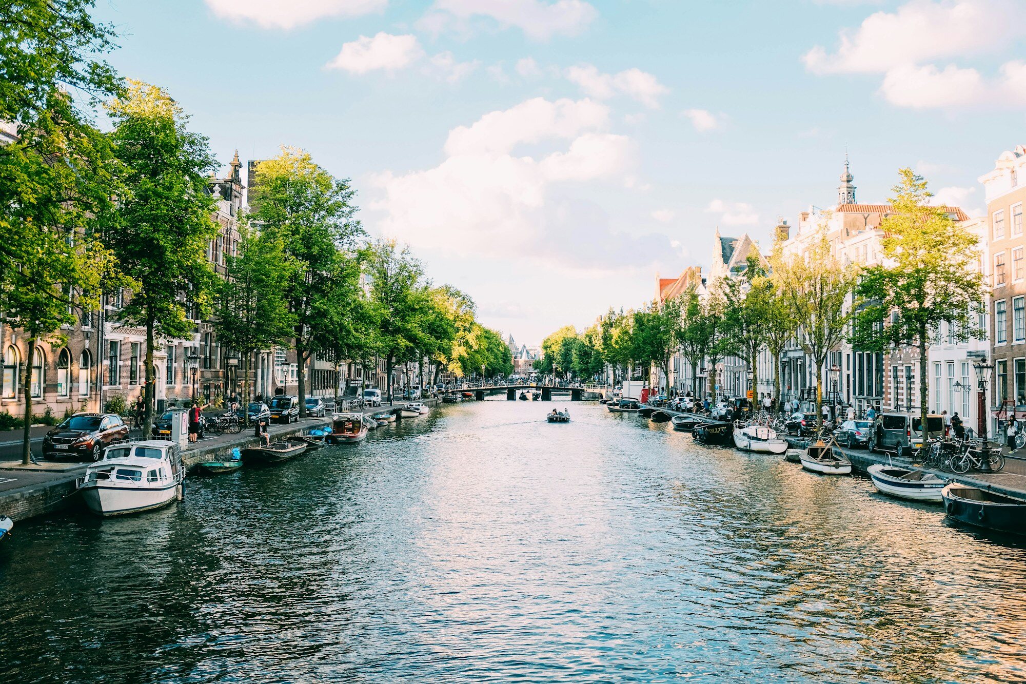 Beyond Amsterdam: Netherlands Road Trip 2026 — Windmills, Tulip Fields & Maastricht