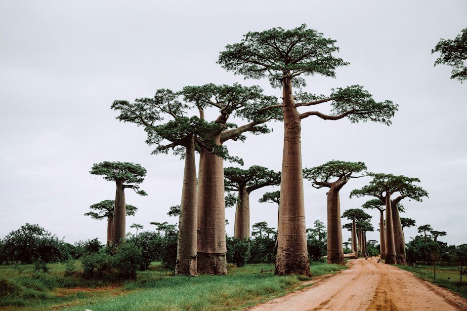 Madagascar: una aventura fuera de los circuitos habituales