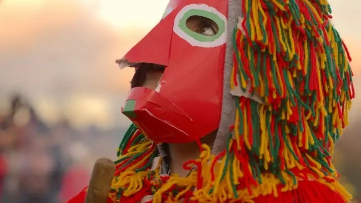 Carnival Portugal