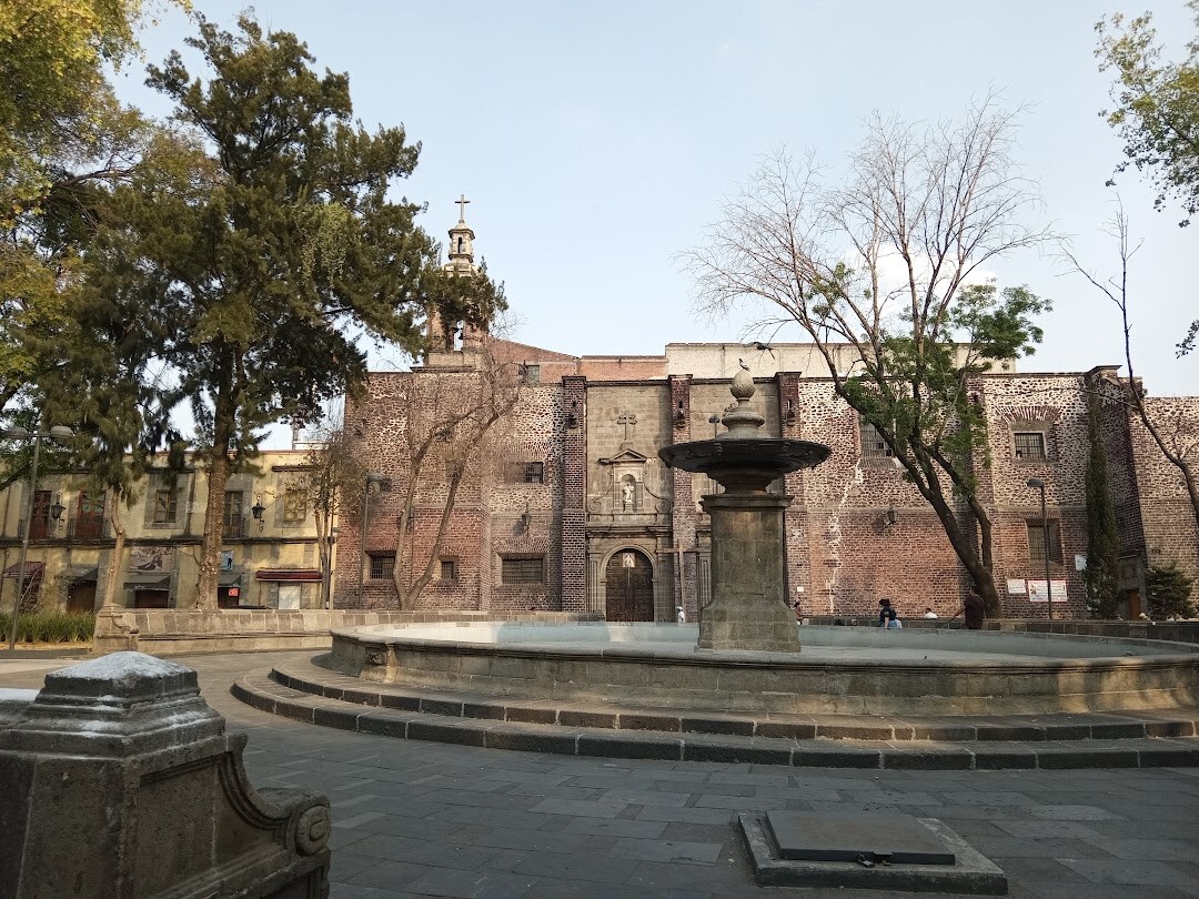 Maximo Bistrot 墨西哥城