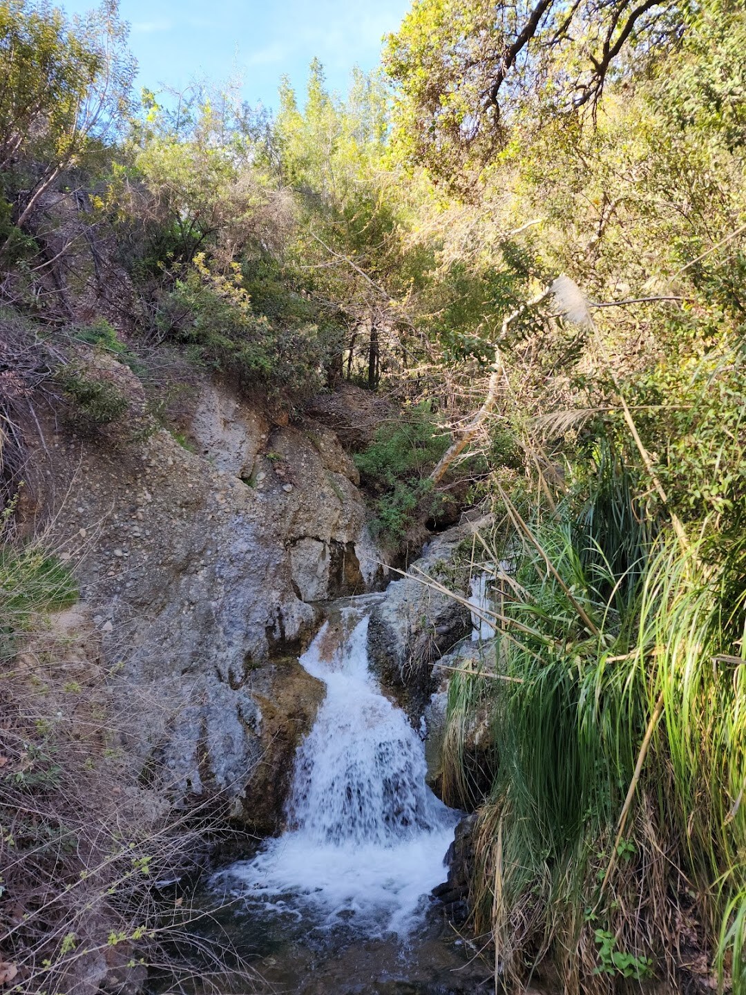 Falling Springs