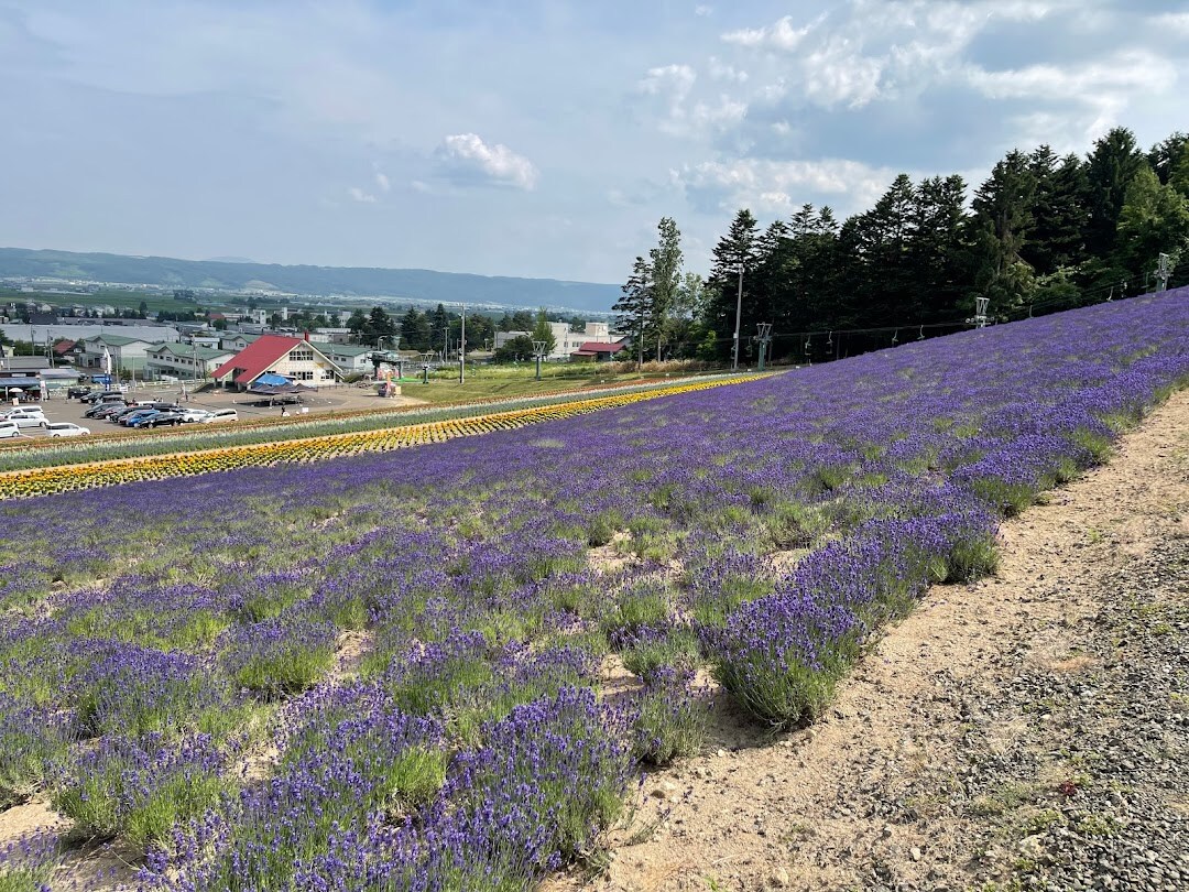 Nakafurano Lavender Park