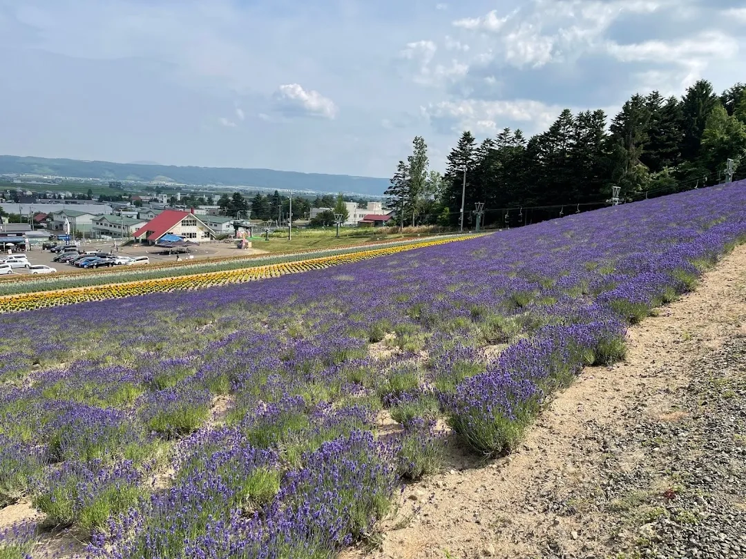 Parco della lavanda di Nakafurano