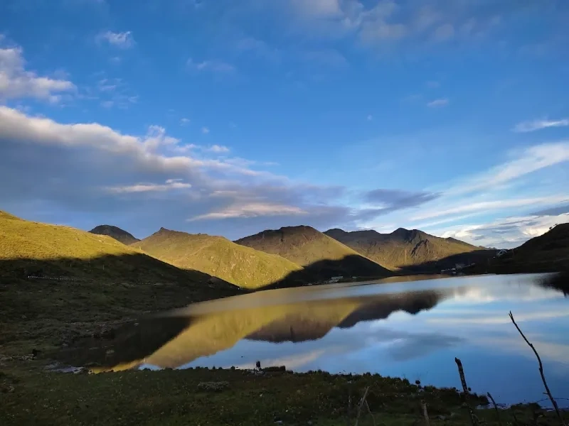 Lago Milk