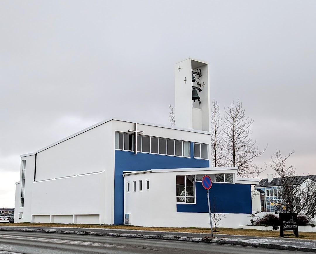 Sægreifinn (Sea Baron) Reykjavik