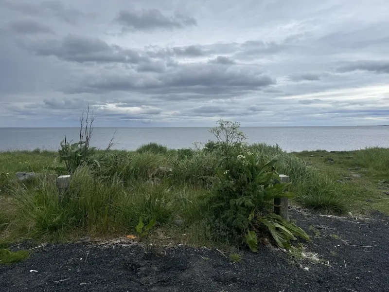 Fiskbúðin Hafberg