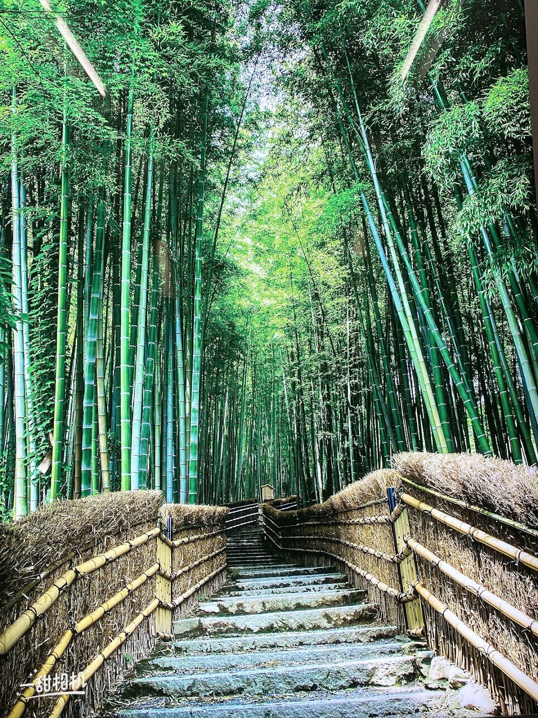 Arashiyama