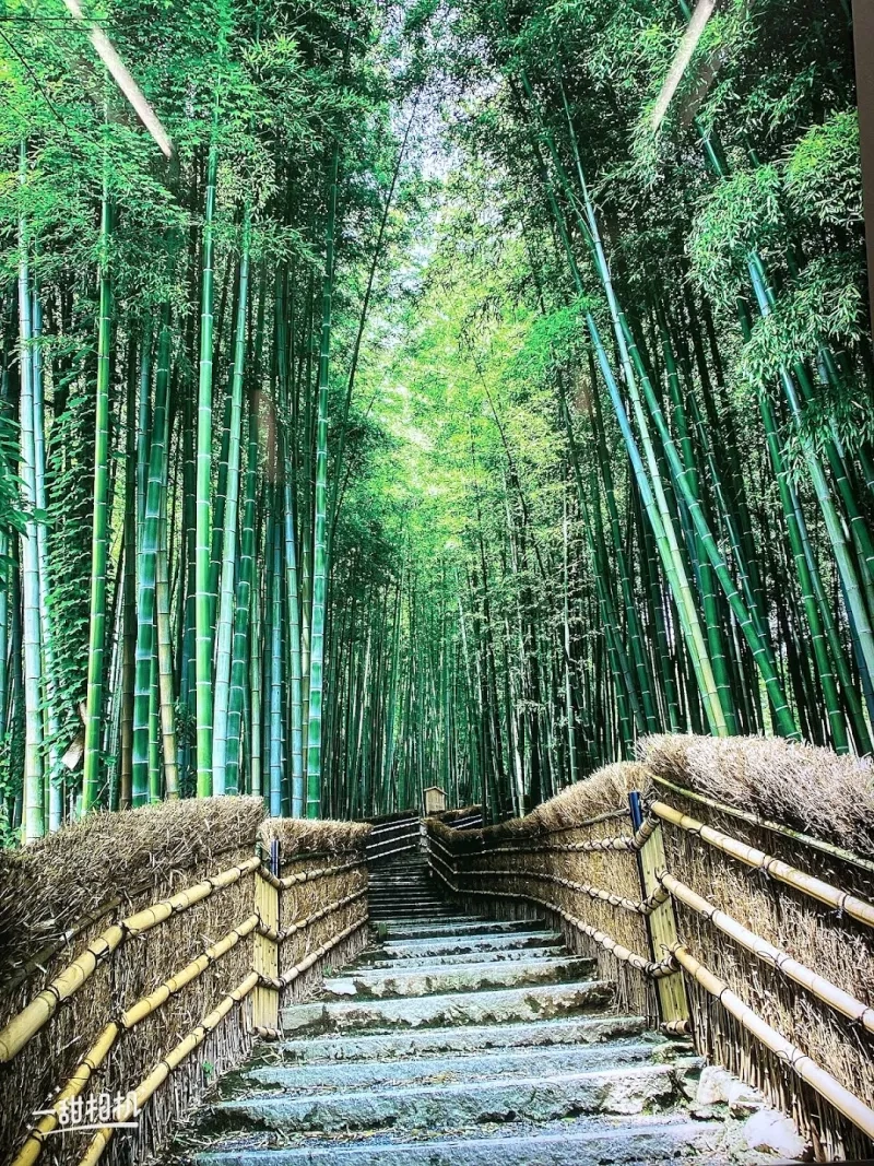 Arashiyama