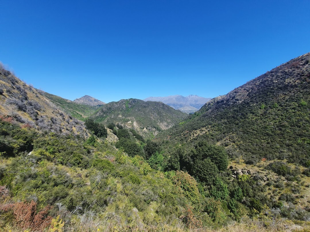 Sawpit Gully Track