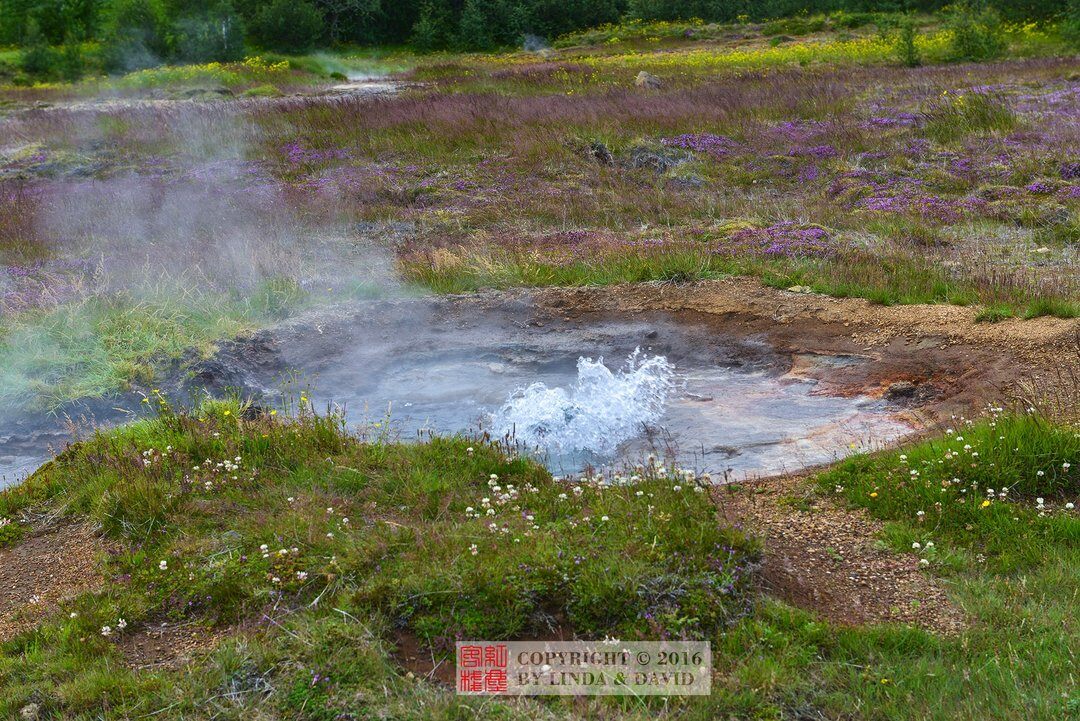 Geysir Hot Spring Area