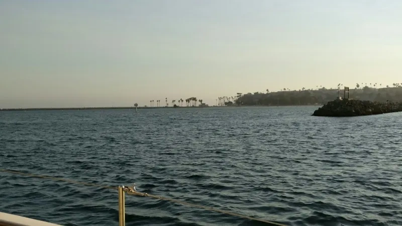 Harbor Hills