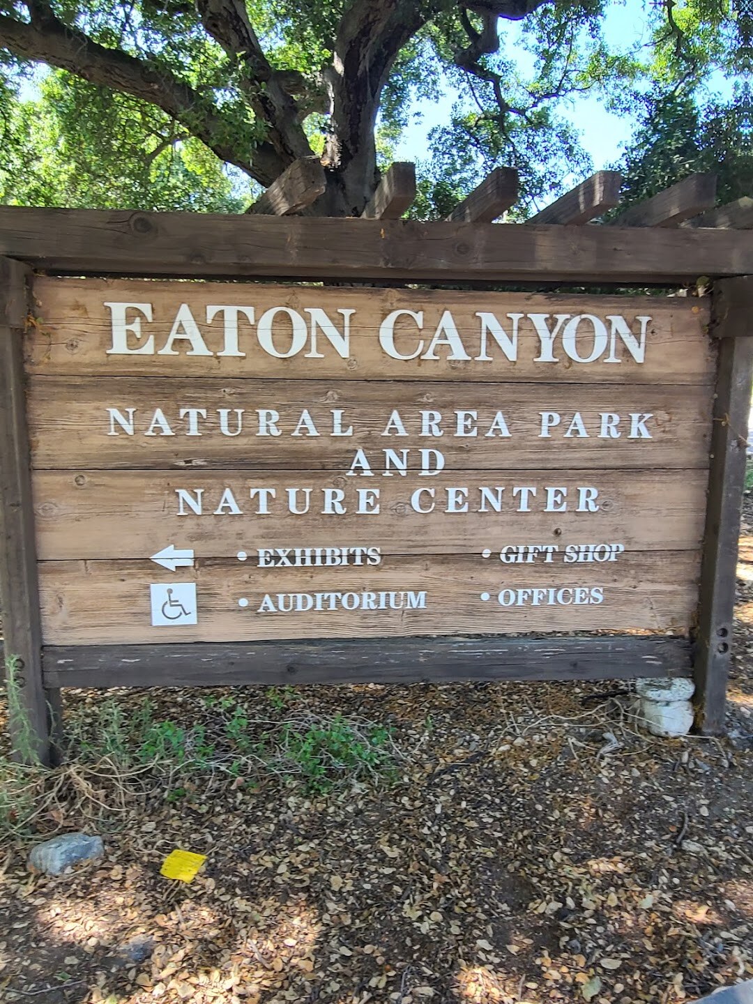 Eaton Saddle