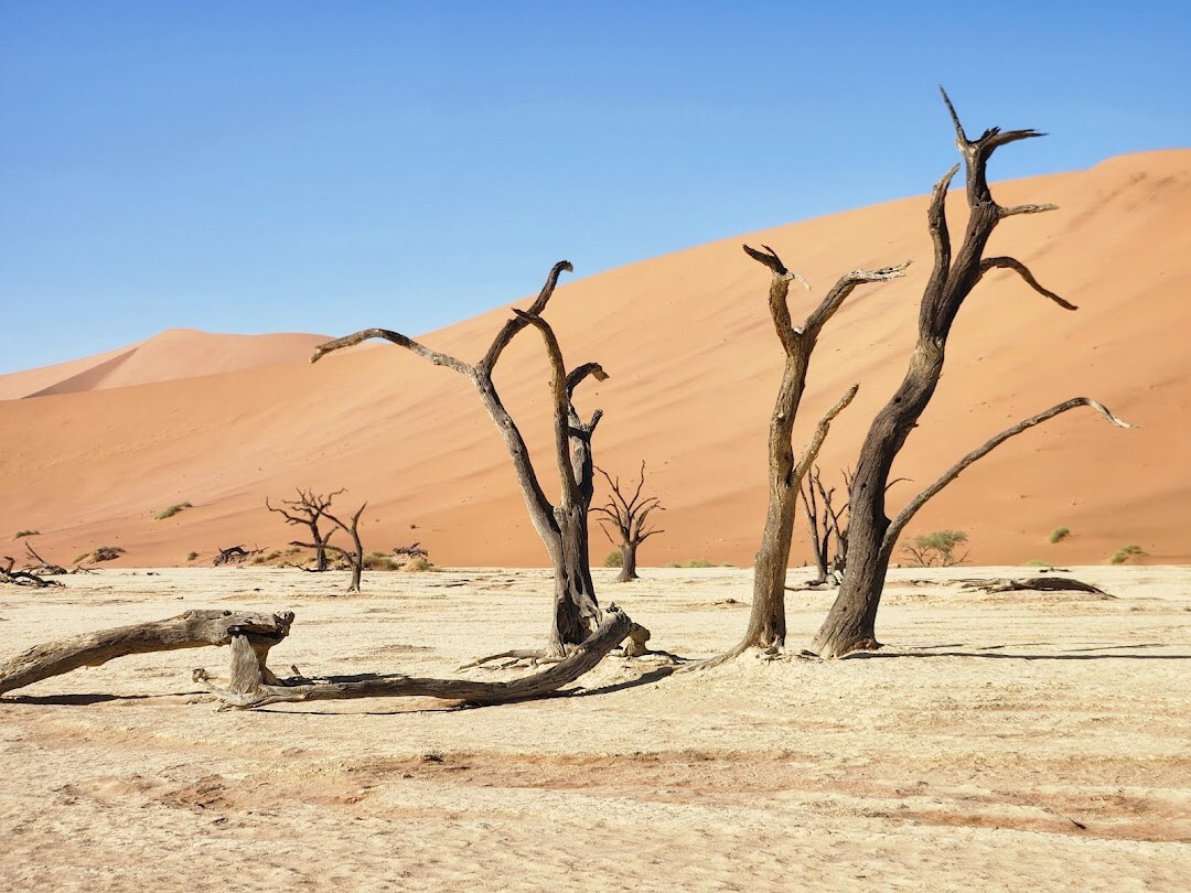 Dead Vlei