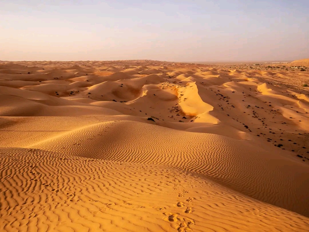 Wahiba Sands