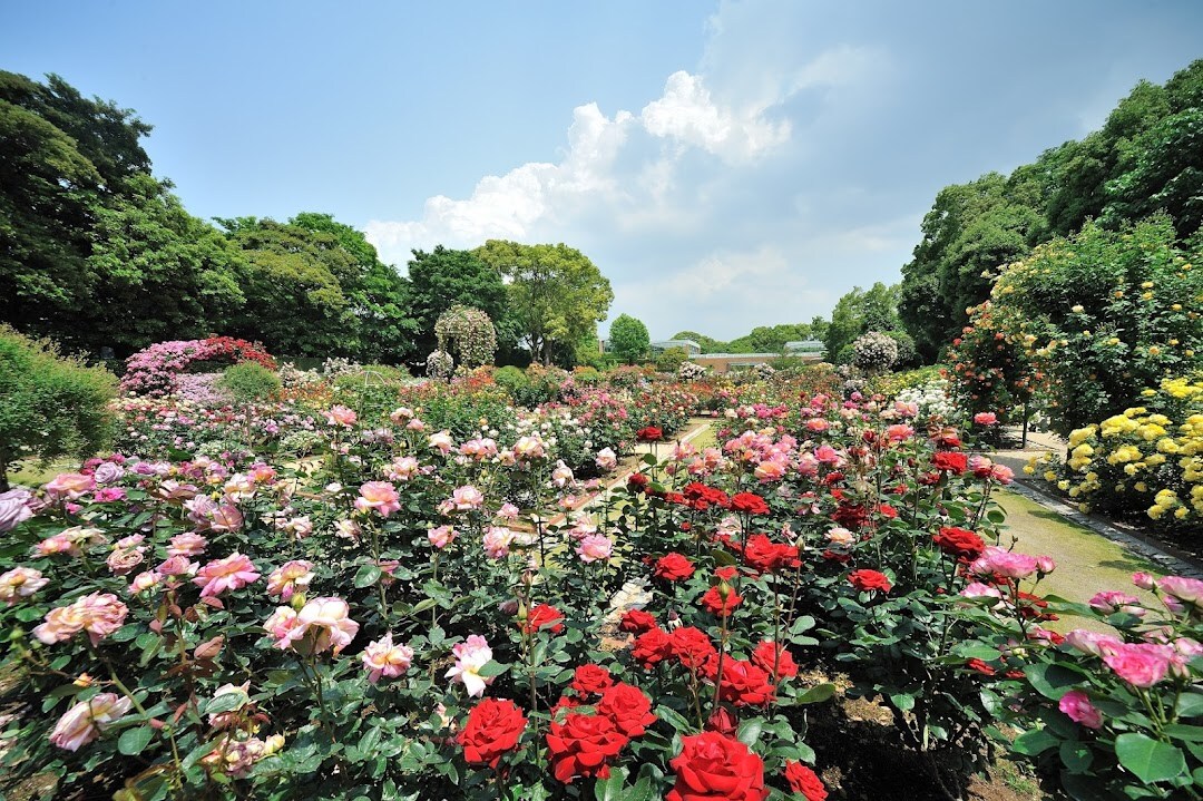 Glover Garden