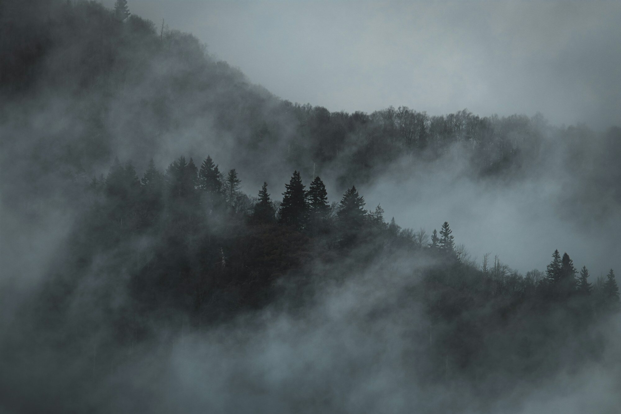 Great Smoky Mountains National Park