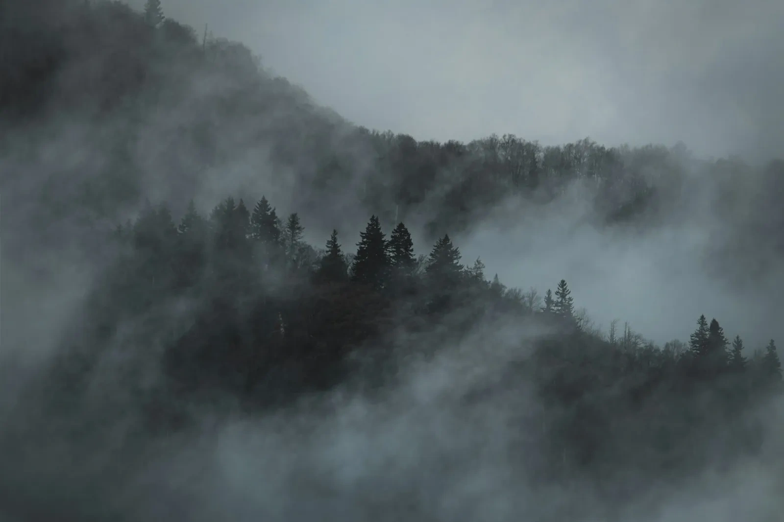 Parc national des Great Smoky Mountains