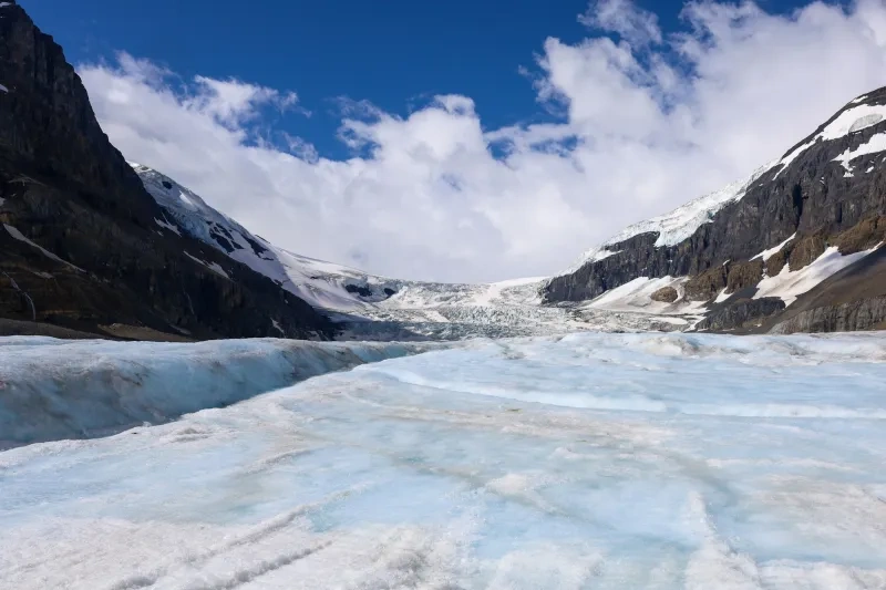 Champ de glace Columbia et glacier Athabasca