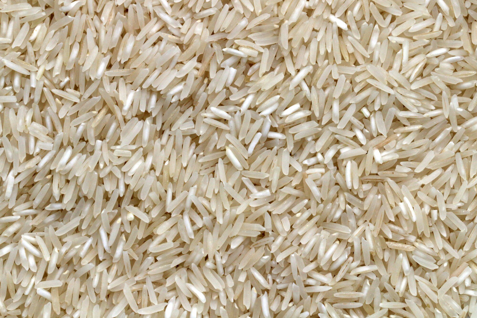 新疆抓飯餐廳
