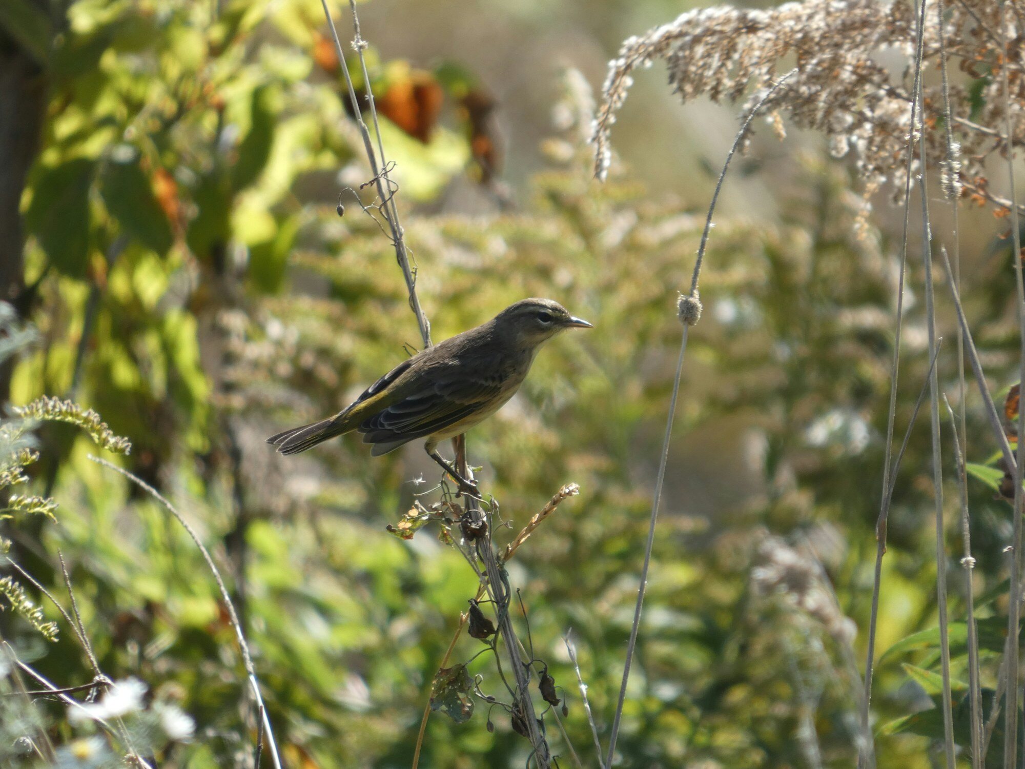 Cudahy