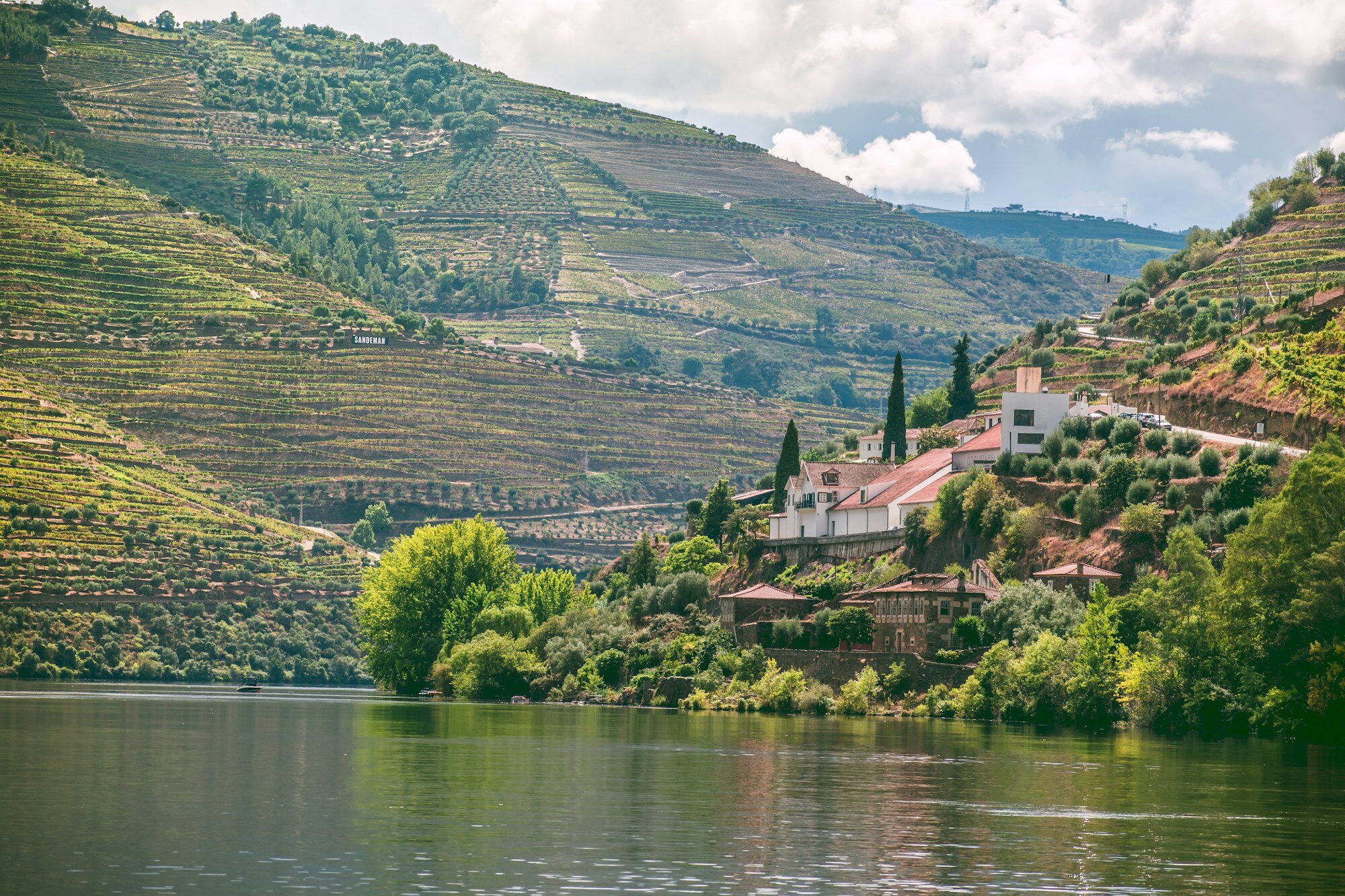 Douro Valley Wine Estates