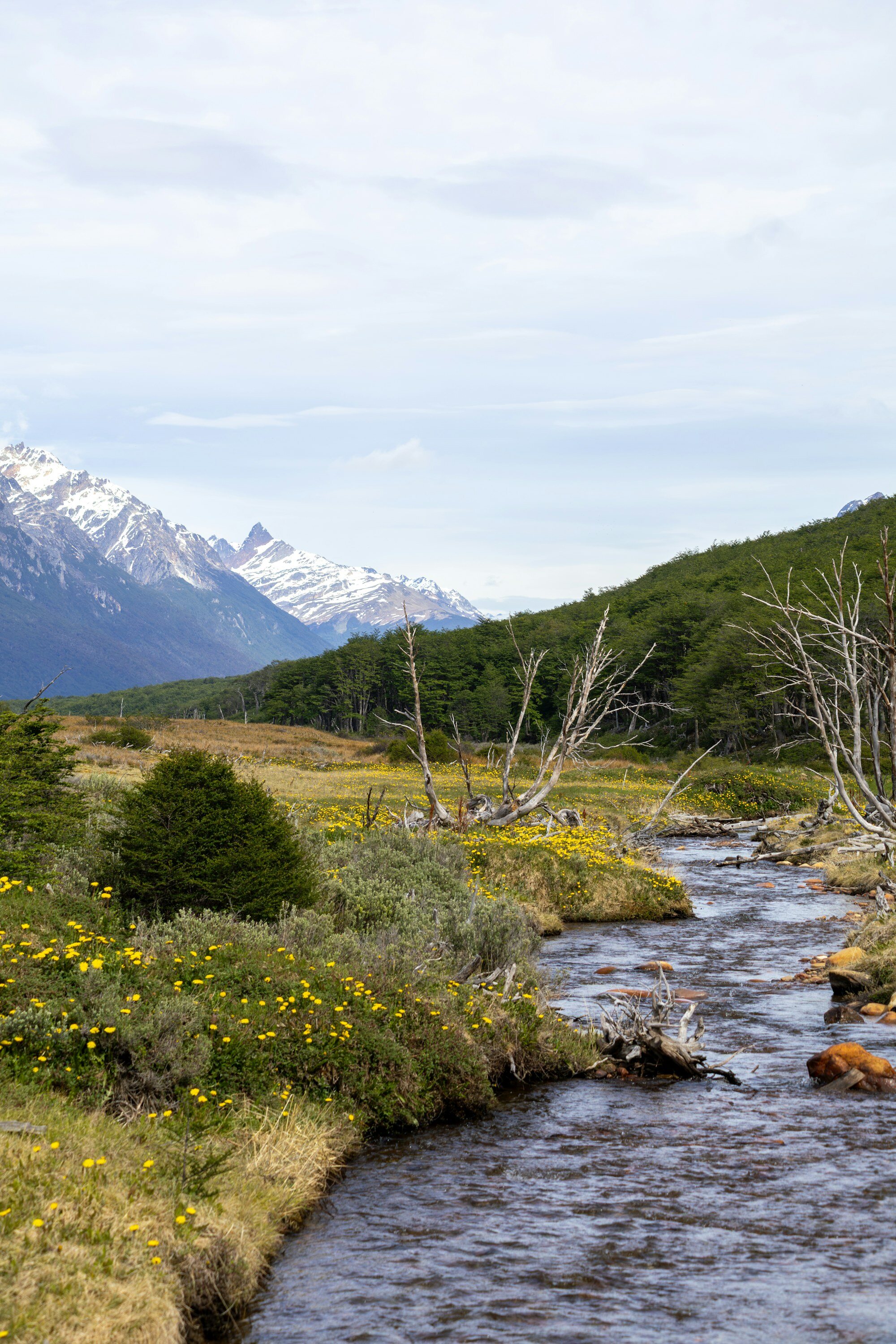 Tierra del Fuego National Park