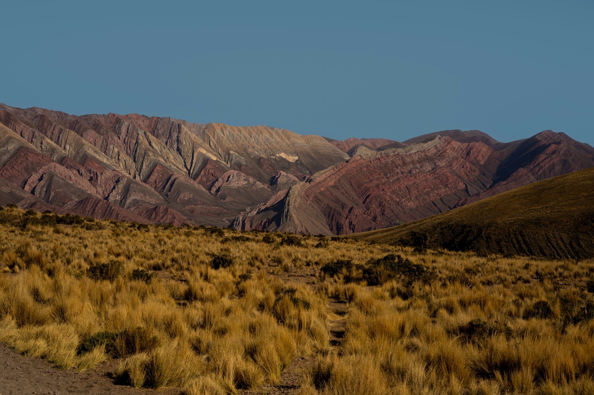 Bosque Petrificado Patagonia