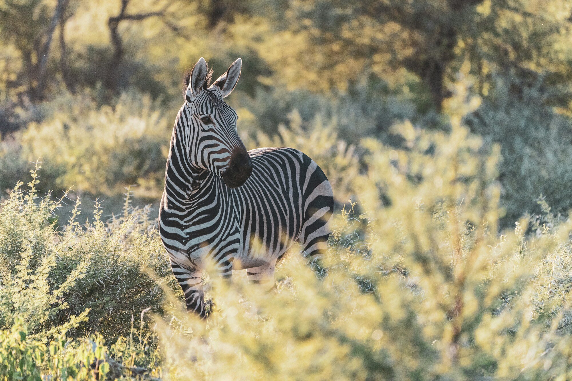 Otjiwarongo