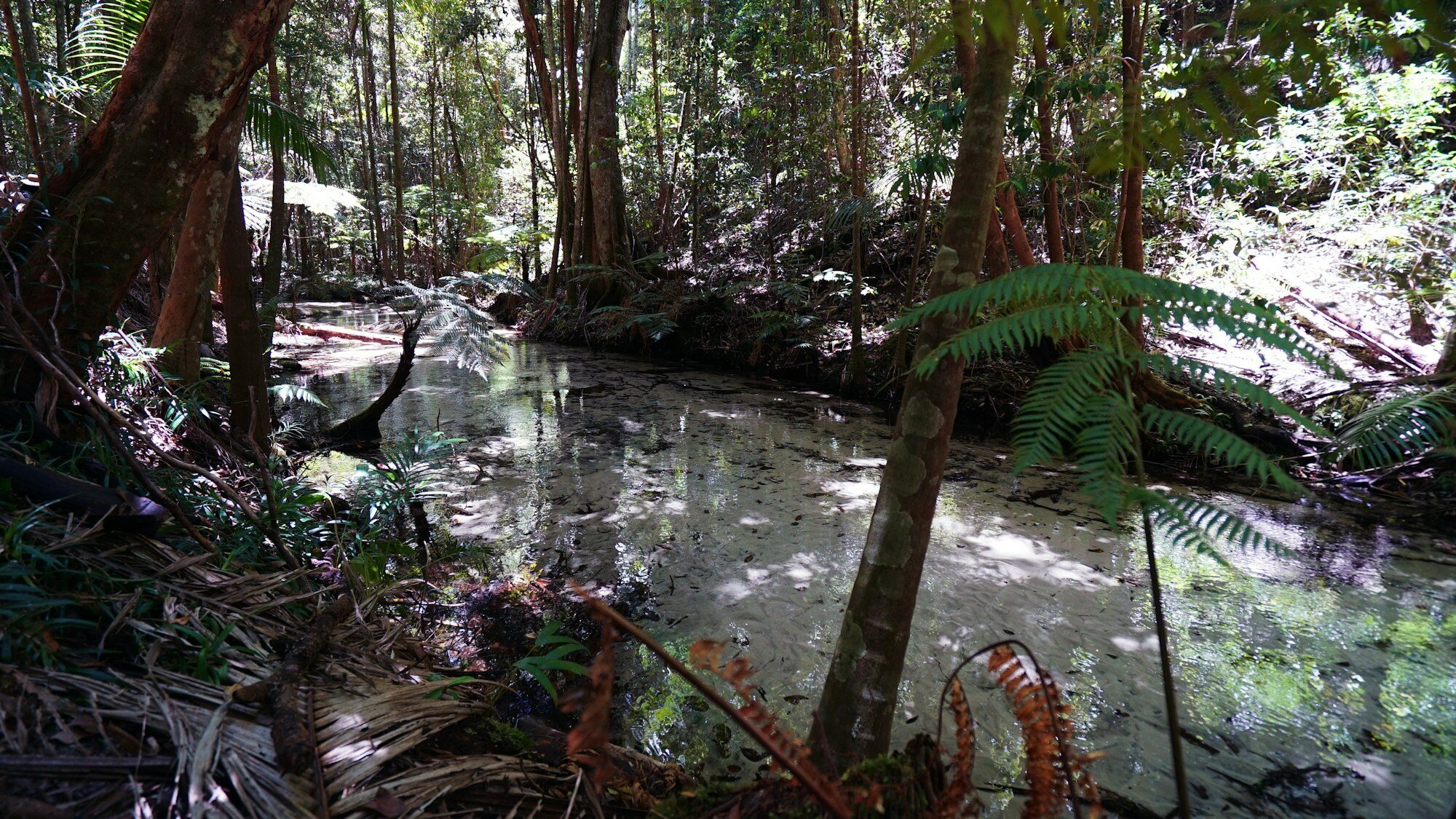Fraser Island (K'gari)